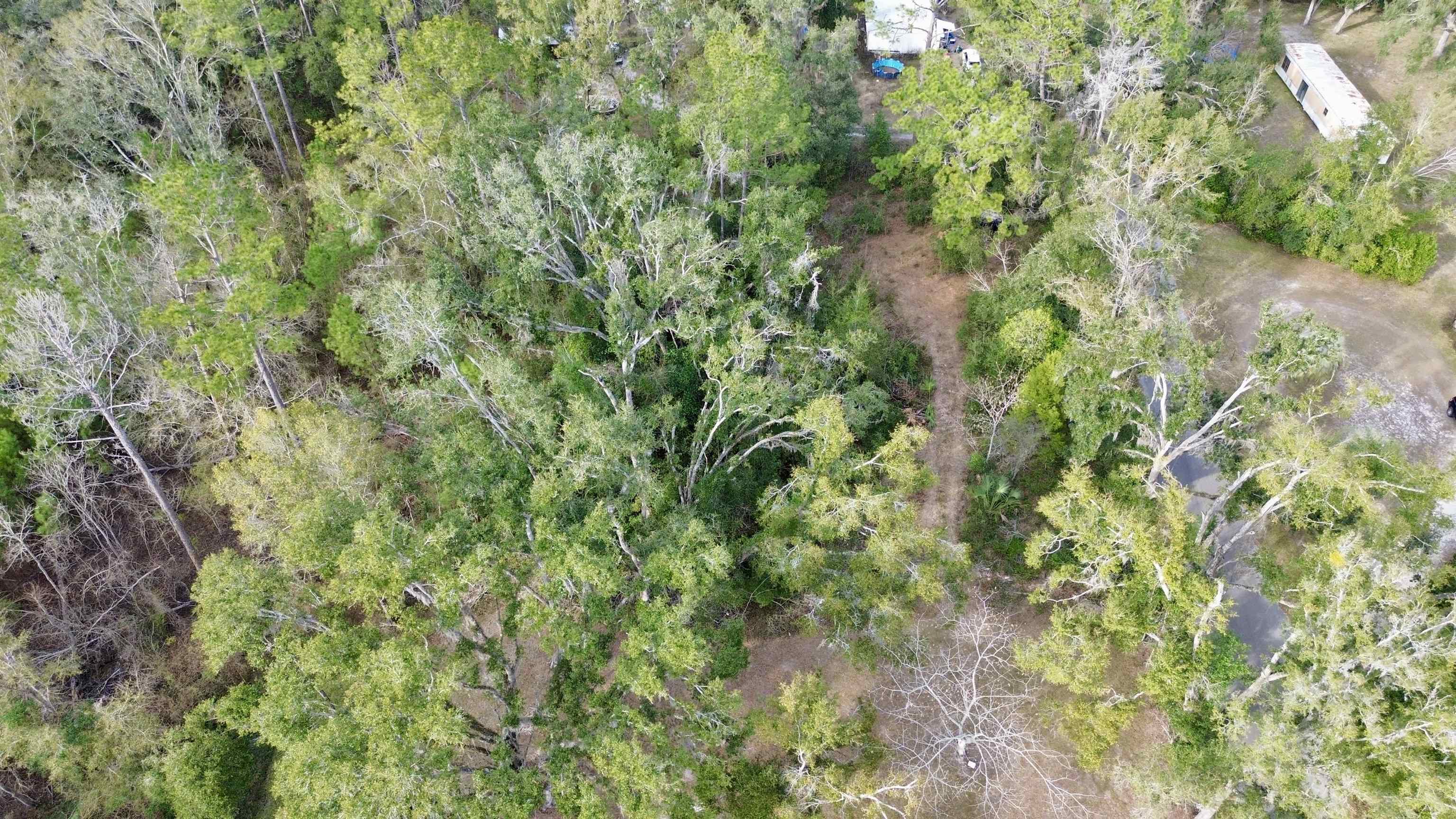 Undisclosed Address Perry, FL 32347 - Photo 10 of 21