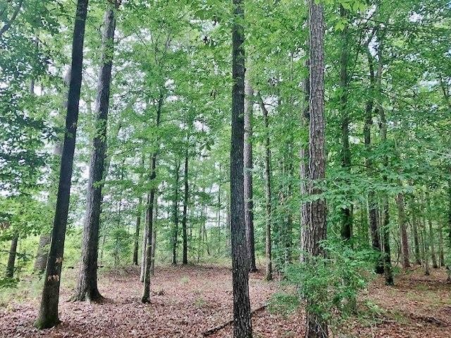 1100 Kenna Road Summit, MS 39666 - Photo 1 of 24 Main View