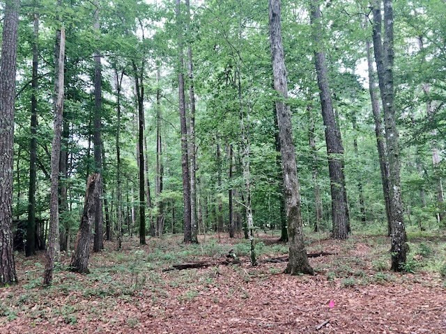 1100 Kenna Road Summit, MS 39666 - Photo 11 of 24 Photo 11