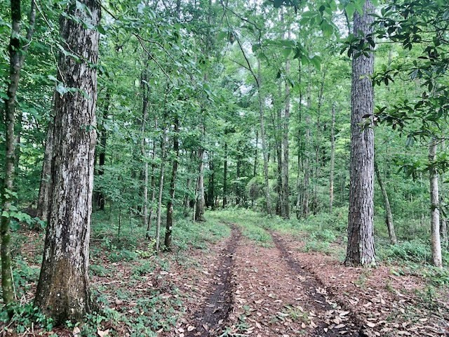 1100 Kenna Road Summit, MS 39666 - Photo 12 of 24 Photo 12