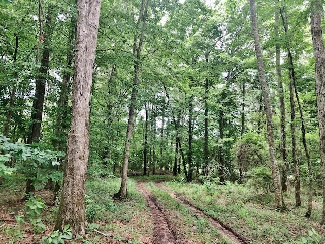 1100 Kenna Road Summit, MS 39666 - Photo 13 of 24 Photo 13