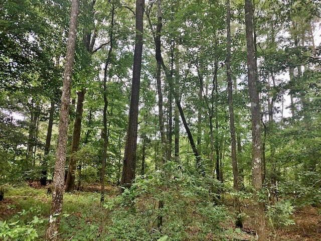 1100 Kenna Road Summit, MS 39666 - Photo 14 of 24 Photo 14