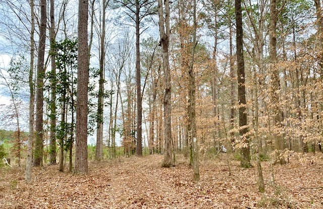 1100 Kenna Road Summit, MS 39666 - Photo 16 of 24 Photo 16