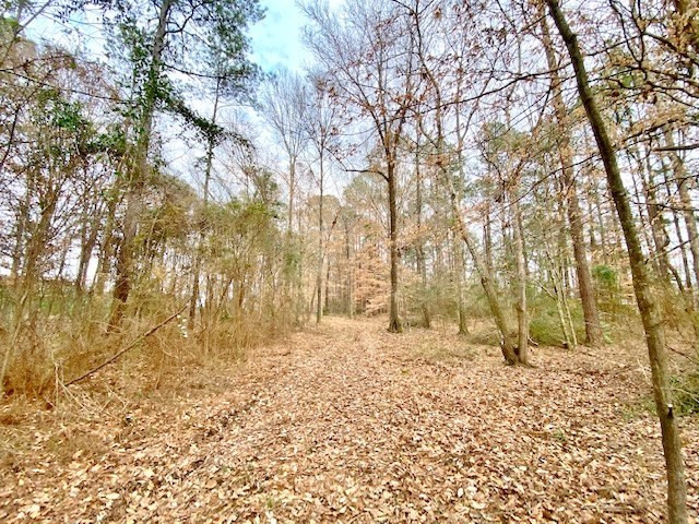 1100 Kenna Road Summit, MS 39666 - Photo 18 of 24 Photo 18