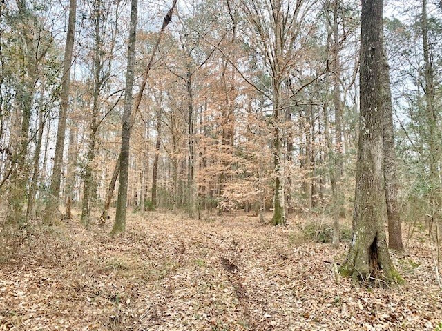 1100 Kenna Road Summit, MS 39666 - Photo 19 of 24 Photo 19