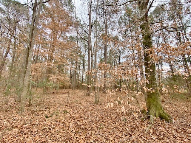 1100 Kenna Road Summit, MS 39666 - Photo 20 of 24 Photo 20
