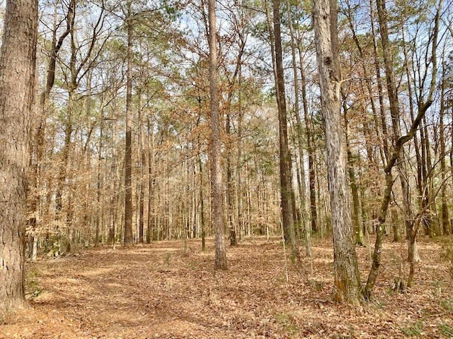 1100 Kenna Road Summit, MS 39666 - Photo 22 of 24 Photo 22