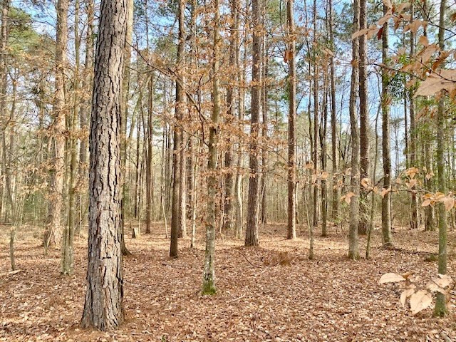 1100 Kenna Road Summit, MS 39666 - Photo 23 of 24 Photo 23