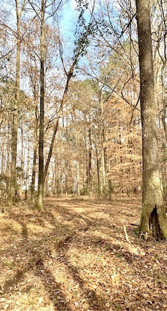 1100 Kenna Road Summit, MS 39666 - Photo 24 of 24 Photo 24