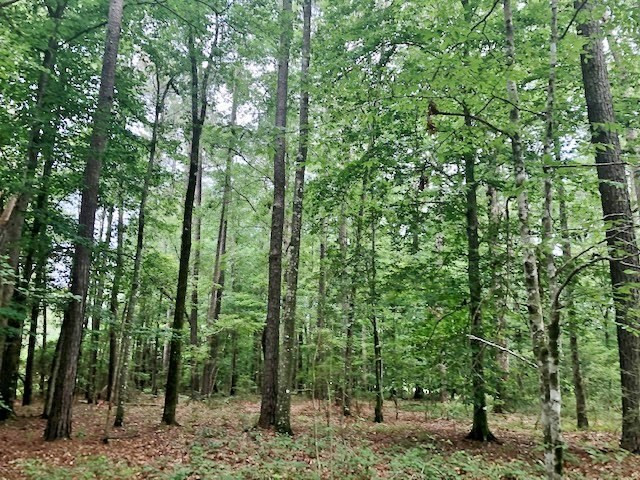 1100 Kenna Road Summit, MS 39666 - Photo 4 of 24 Photo 4