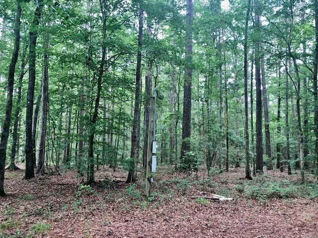 1100 Kenna Road Summit, MS 39666 - Photo 6 of 24 Photo 6