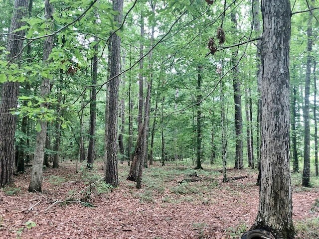 1100 Kenna Road Summit, MS 39666 - Photo 8 of 24 Photo 8