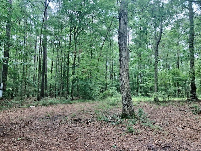 1100 Kenna Road Summit, MS 39666 - Photo 10 of 24 Photo 10