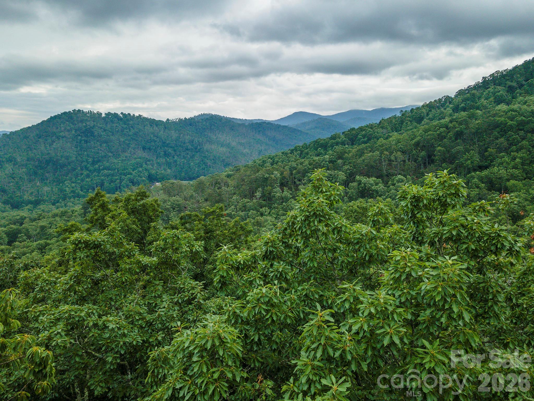 Tbd Summer Haven Road, Unit 16 Swannanoa, NC 28778 - Photo 3 of 45