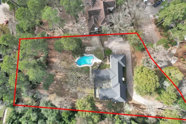 a bird view with plants and flowers