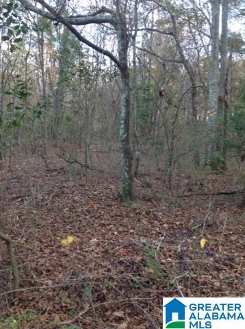 0 Lister Ferry Road, Unit 1 Gadsden, AL 35907 - Photo 29 of 30
