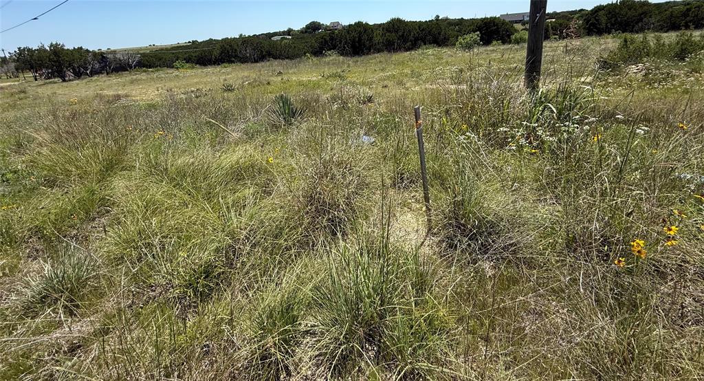 1029 County Road Nemo, TX 76070 - Photo 2 of 4