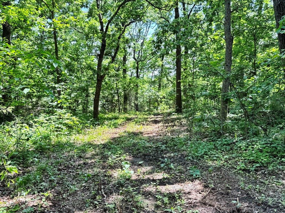 Tbd1 East 1550 Road Jerico Springs, MO 64756 - Photo 6 of 23