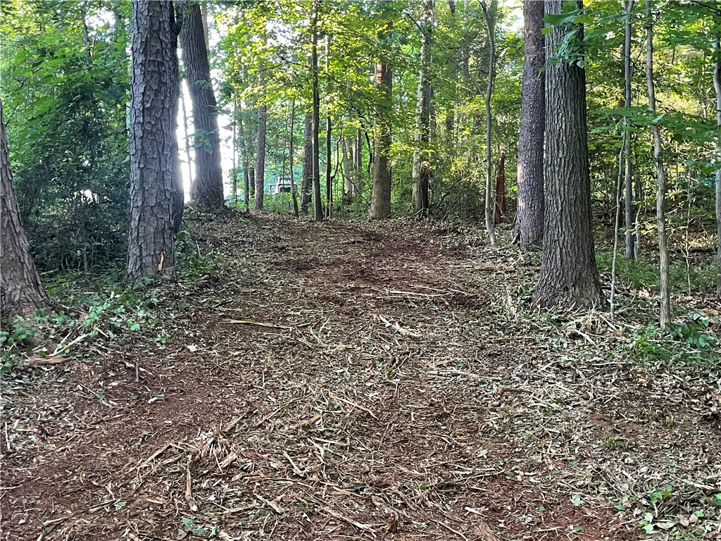 206 Park Road Townville, SC 29689 - Photo 8 of 9