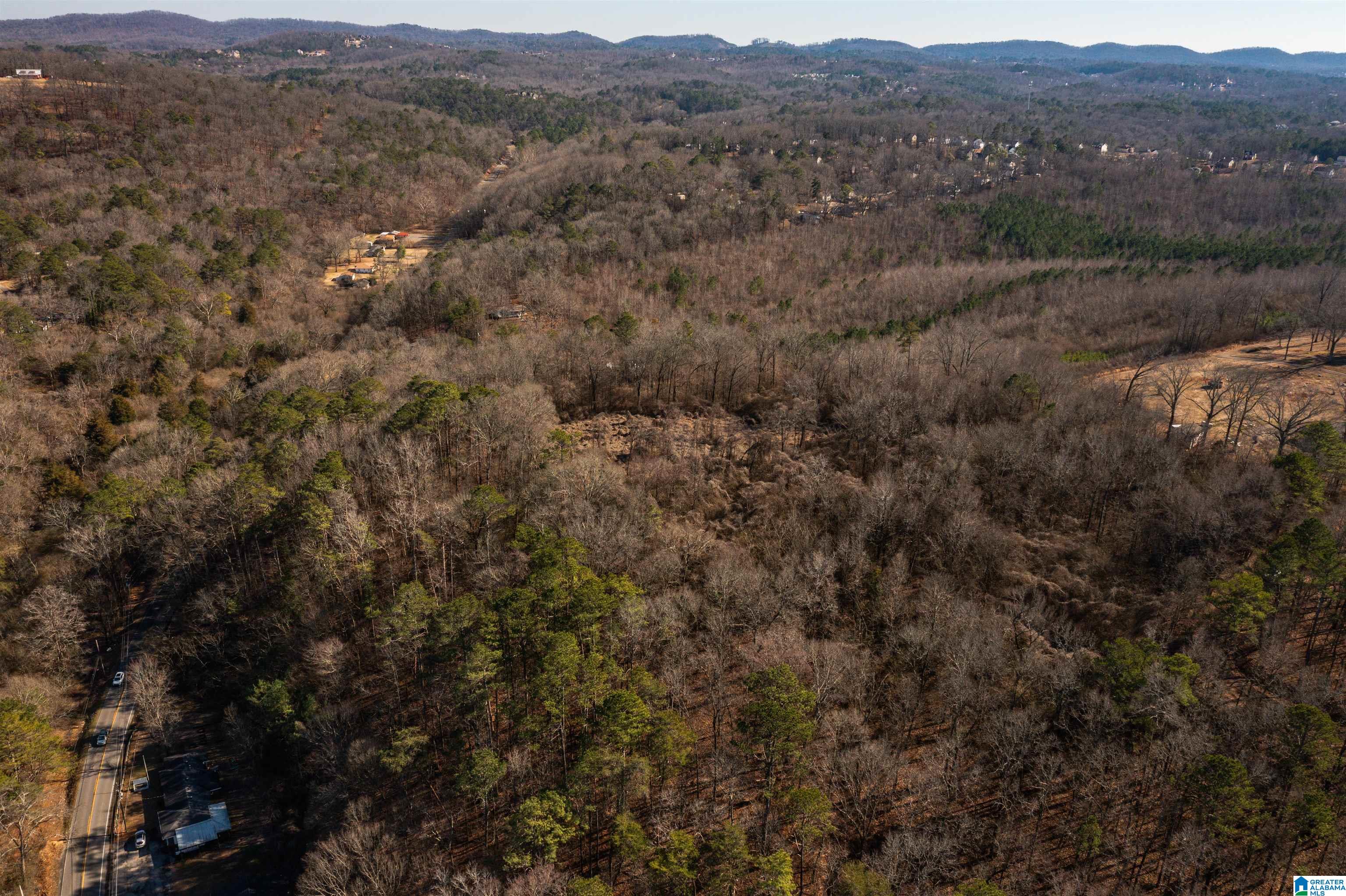4392 Buzbee Road, Unit 1 Pinson, AL 35126 - Photo 21 of 27