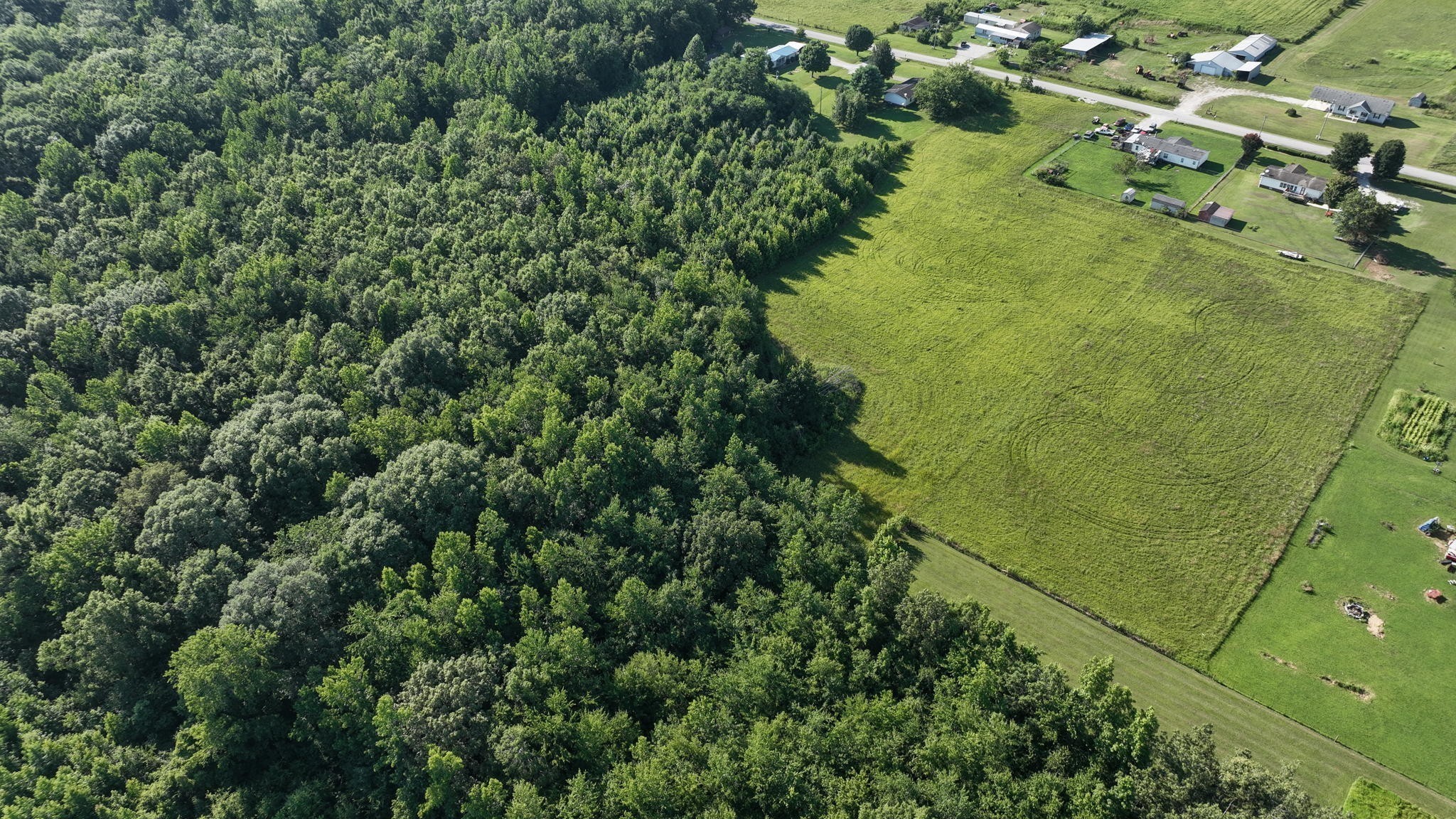 0 Ferrells Loop Road Manchester, TN 37355 - Photo 11 of 16 a view of a garden