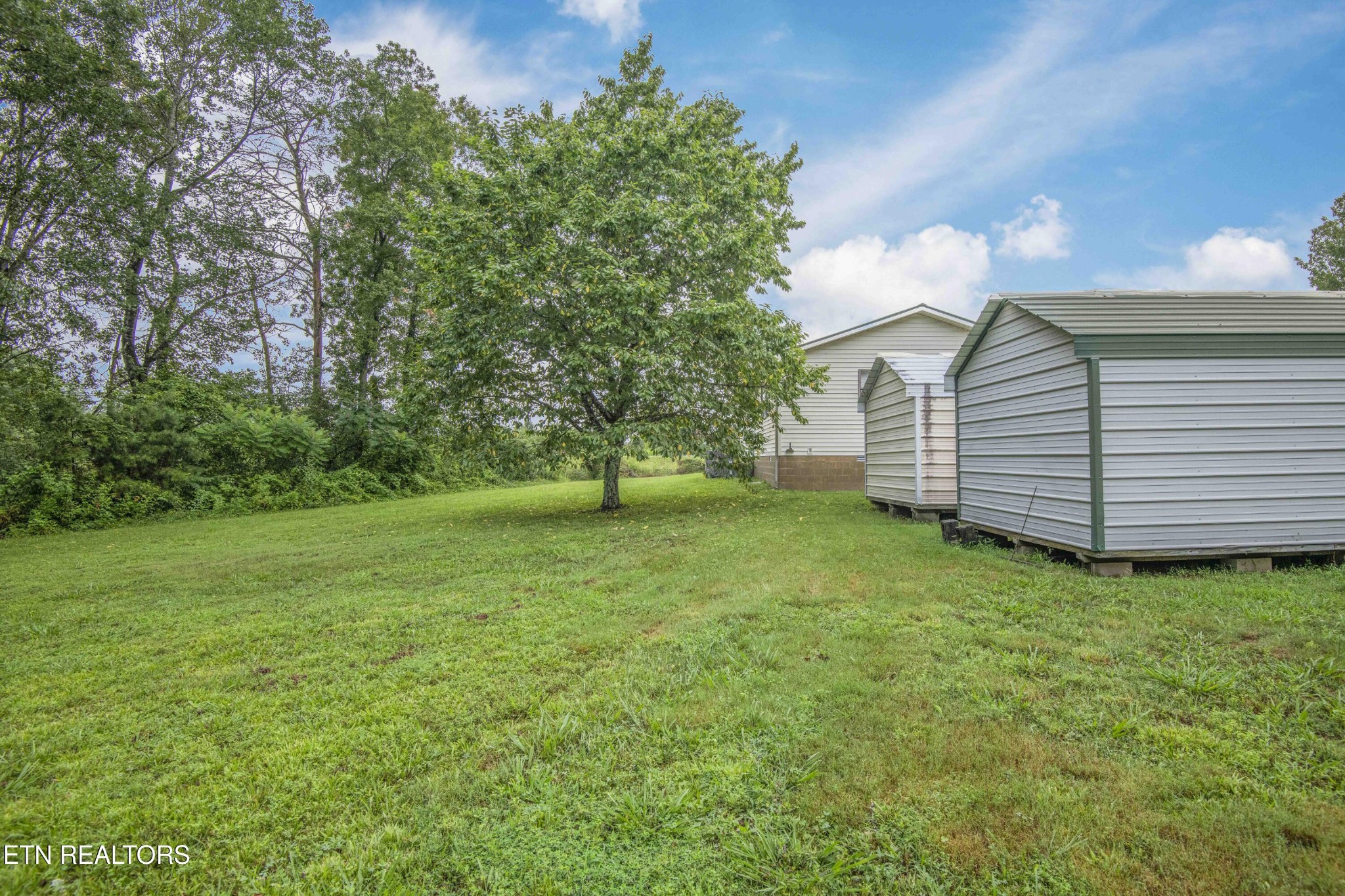11981 South S Highway Crossville, TN 38572 - Photo 47 of 49 a view of a backyard with large trees