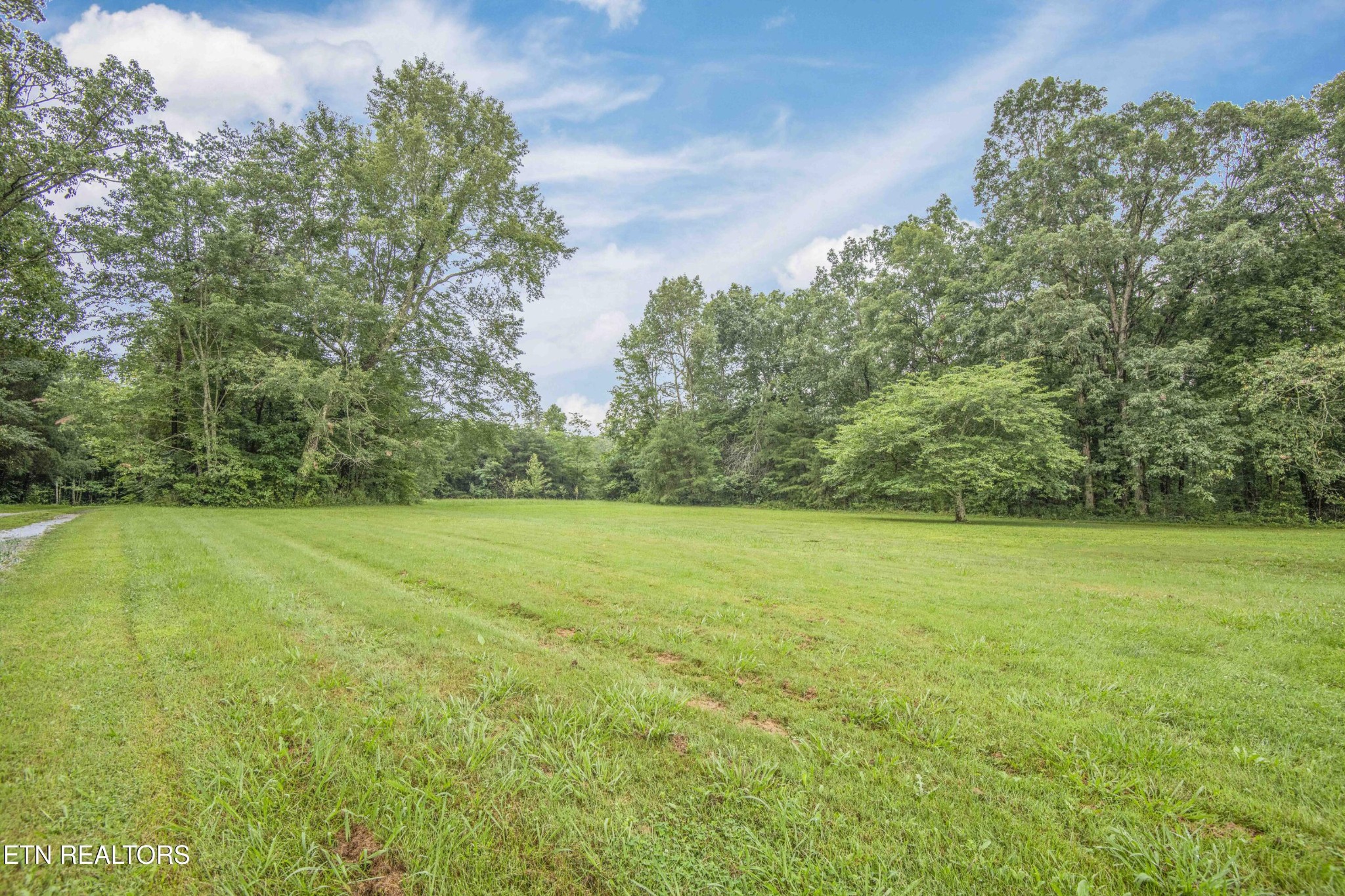 11981 South S Highway Crossville, TN 38572 - Photo 48 of 49 a view of a field with an trees