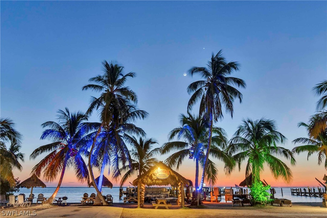 a view of outdoor space with palm trees