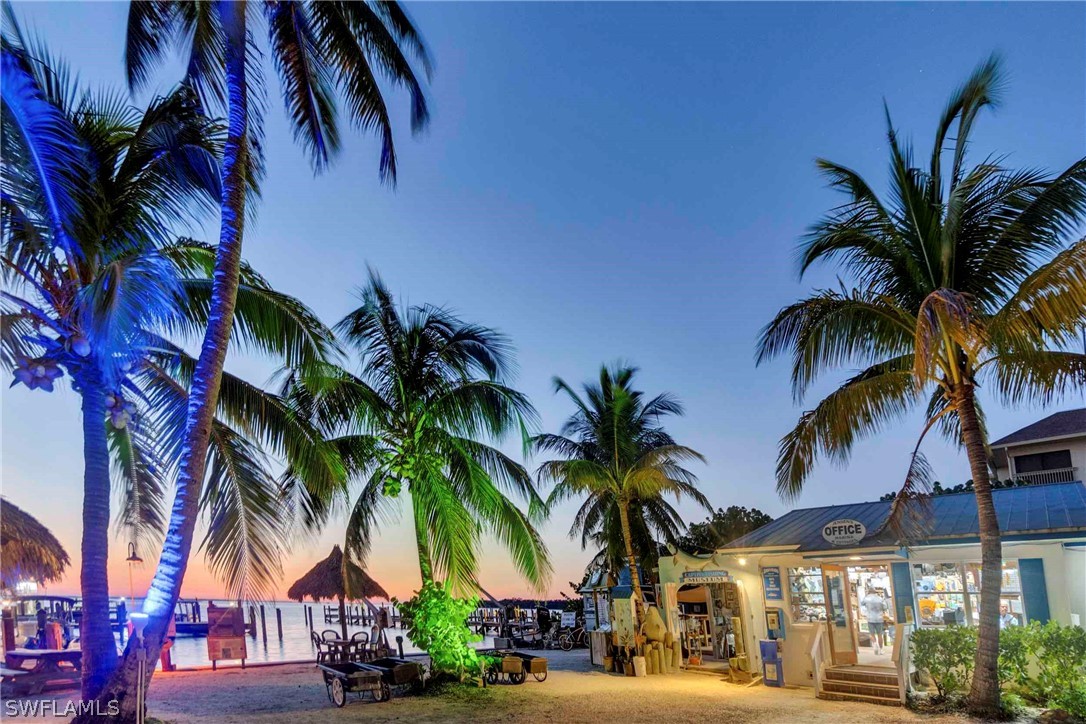 15107 Captiva Drive Captiva, FL 33924 - Photo 9 of 35 a view of multiple palm trees