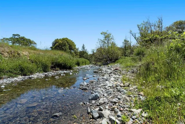 a view of a lake view with plants and mountains in the background