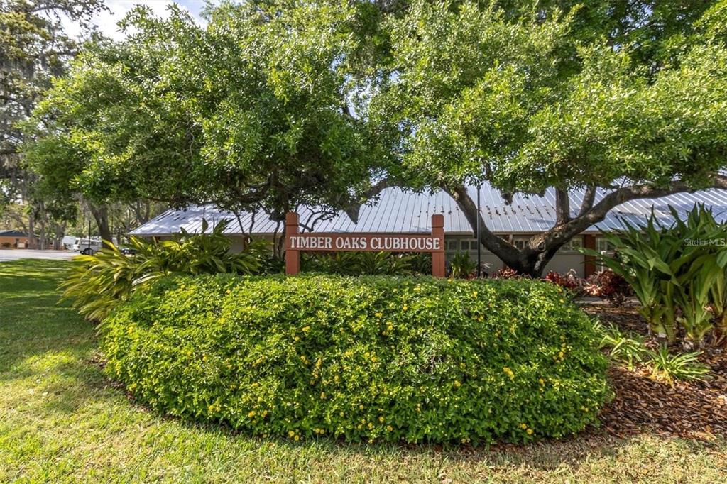 11334 Stansberry Drive Port Richey, FL 34668 - Photo 28 of 37