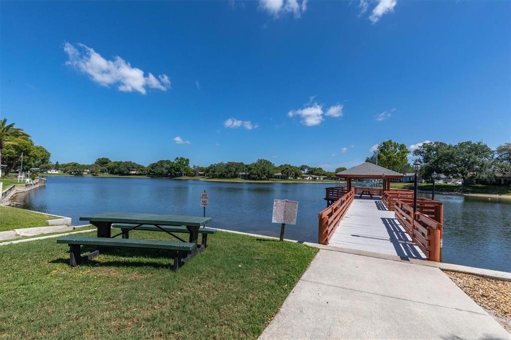 11334 Stansberry Drive Port Richey, FL 34668 - Photo 34 of 37