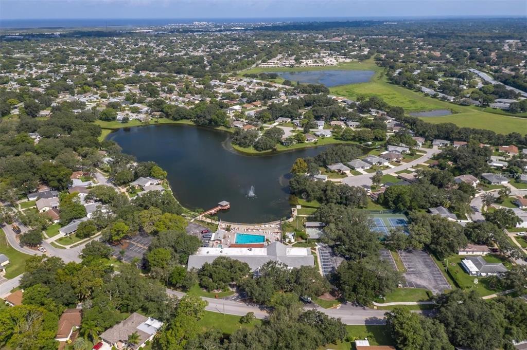 11334 Stansberry Drive Port Richey, FL 34668 - Photo 37 of 37