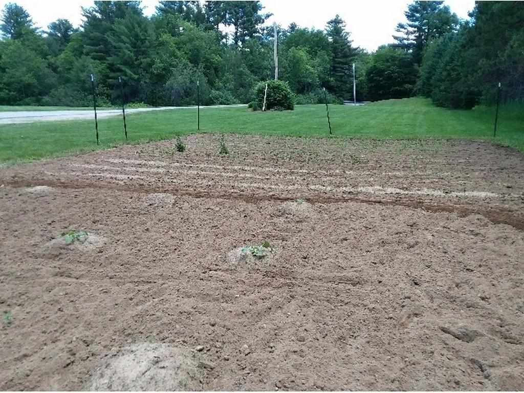 37 Swiggey Brook Road Chichester, NH 03258 - Photo 23 of 33