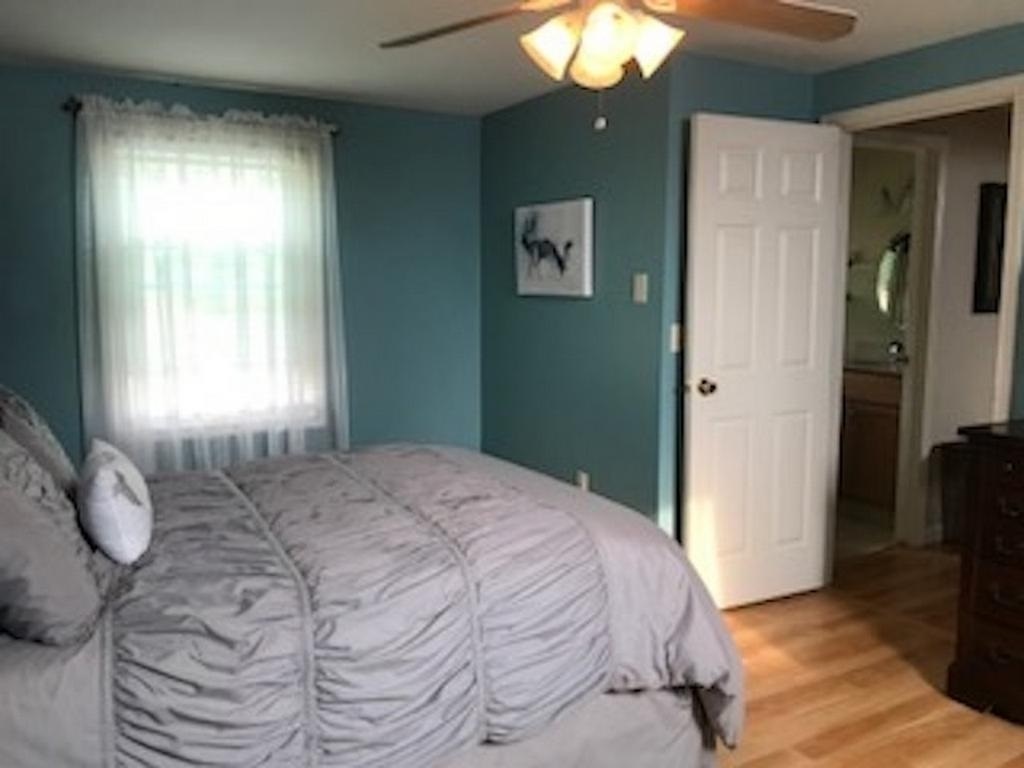 37 Swiggey Brook Road Chichester, NH 03258 - Photo 26 of 33