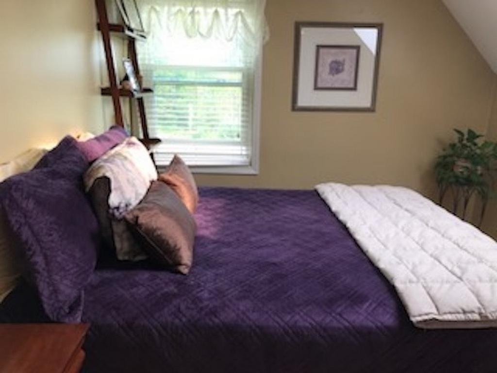 37 Swiggey Brook Road Chichester, NH 03258 - Photo 30 of 33