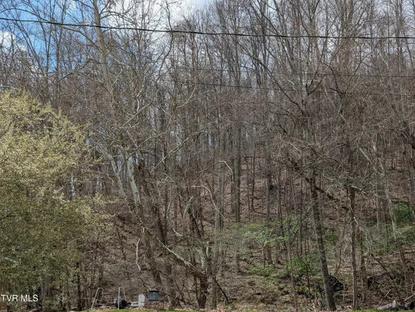 $3,000 | Tbd Clf Mountain Way, Duffield, VA 24244