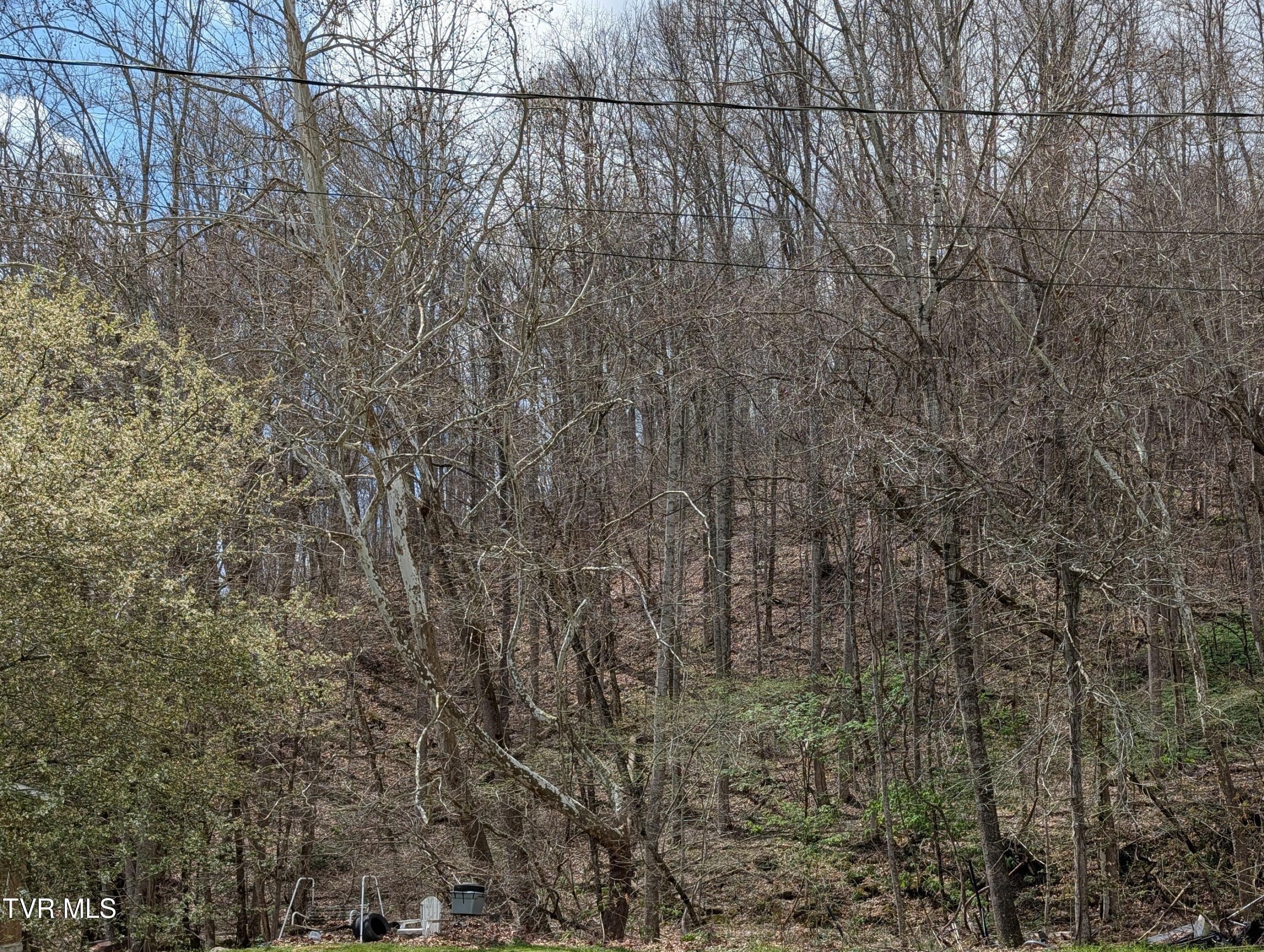 Tbd Clf Mountain Way Duffield, VA 24244 - Photo 2 of 2 2026-04-01 13.59.48-2