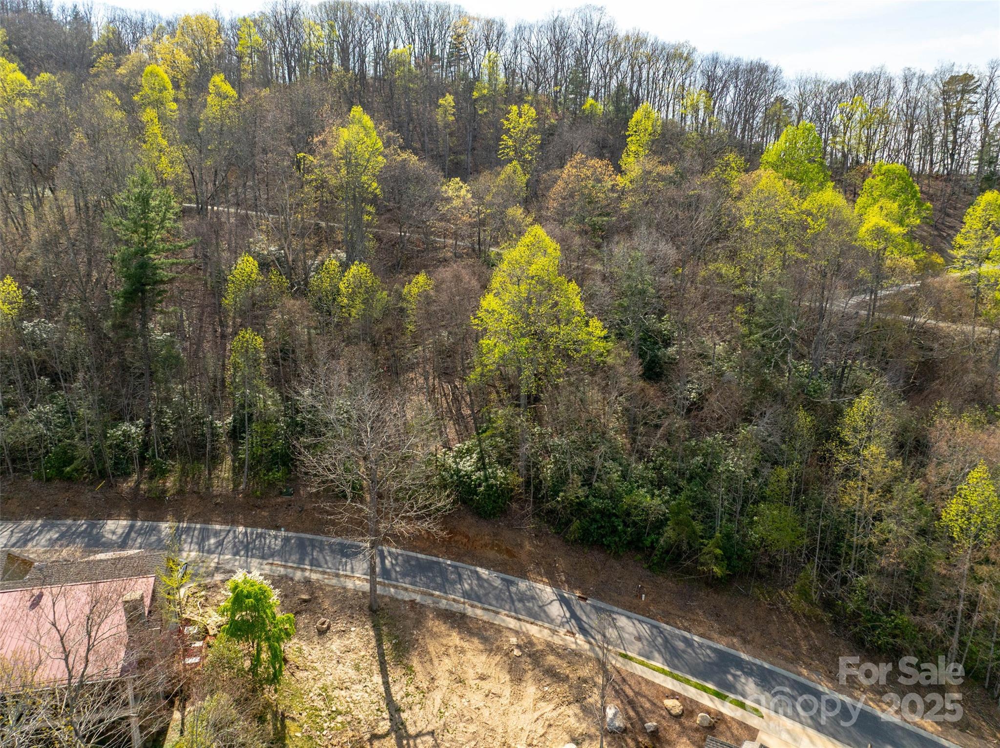 63 Old Lafayette Lane Black Mountain, NC 28711 - Photo 3 of 10 a view of a lake from a yard