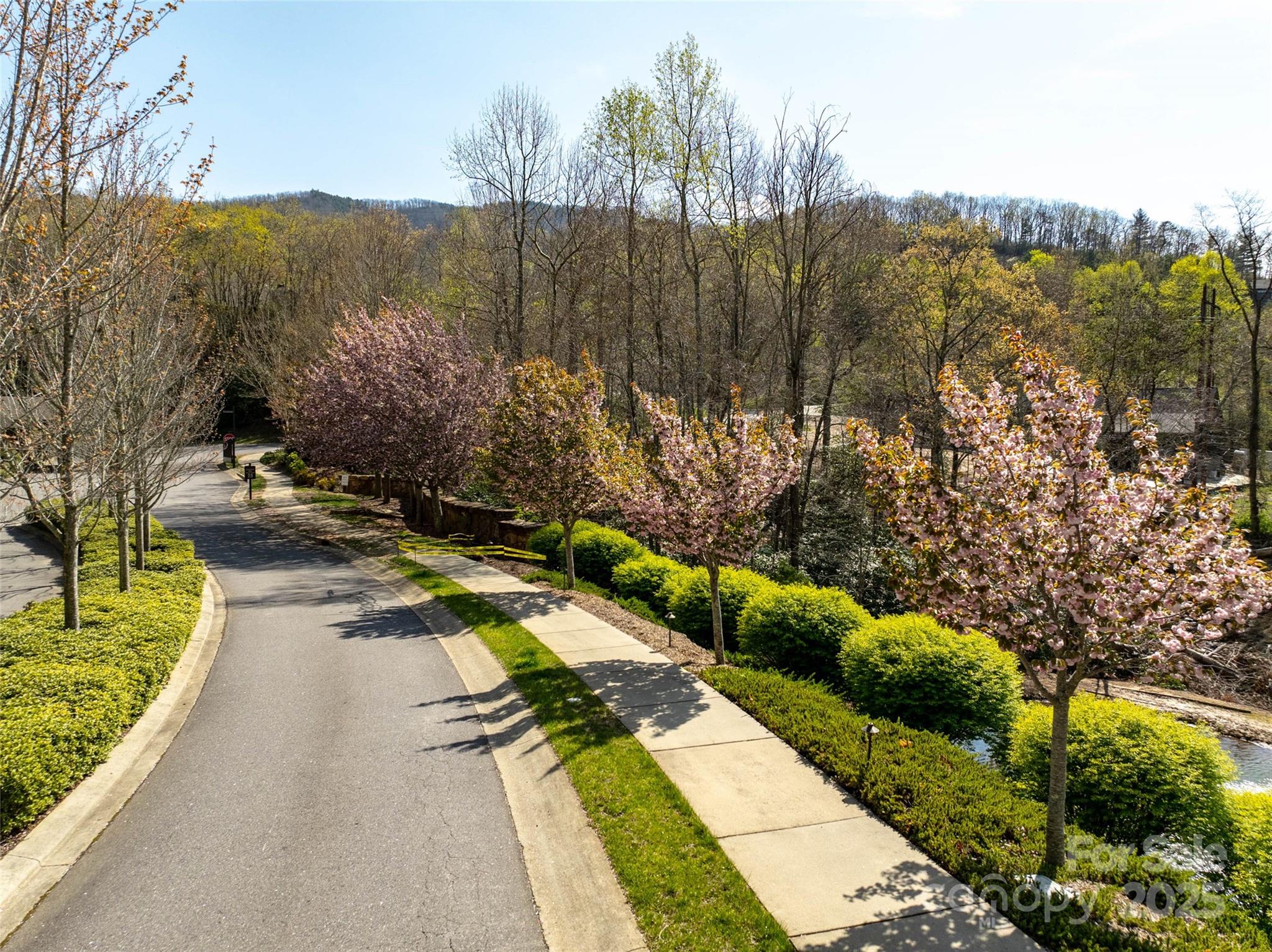 63 Old Lafayette Lane Black Mountain, NC 28711 - Photo 5 of 10 a view of a pathway with a wrought fence