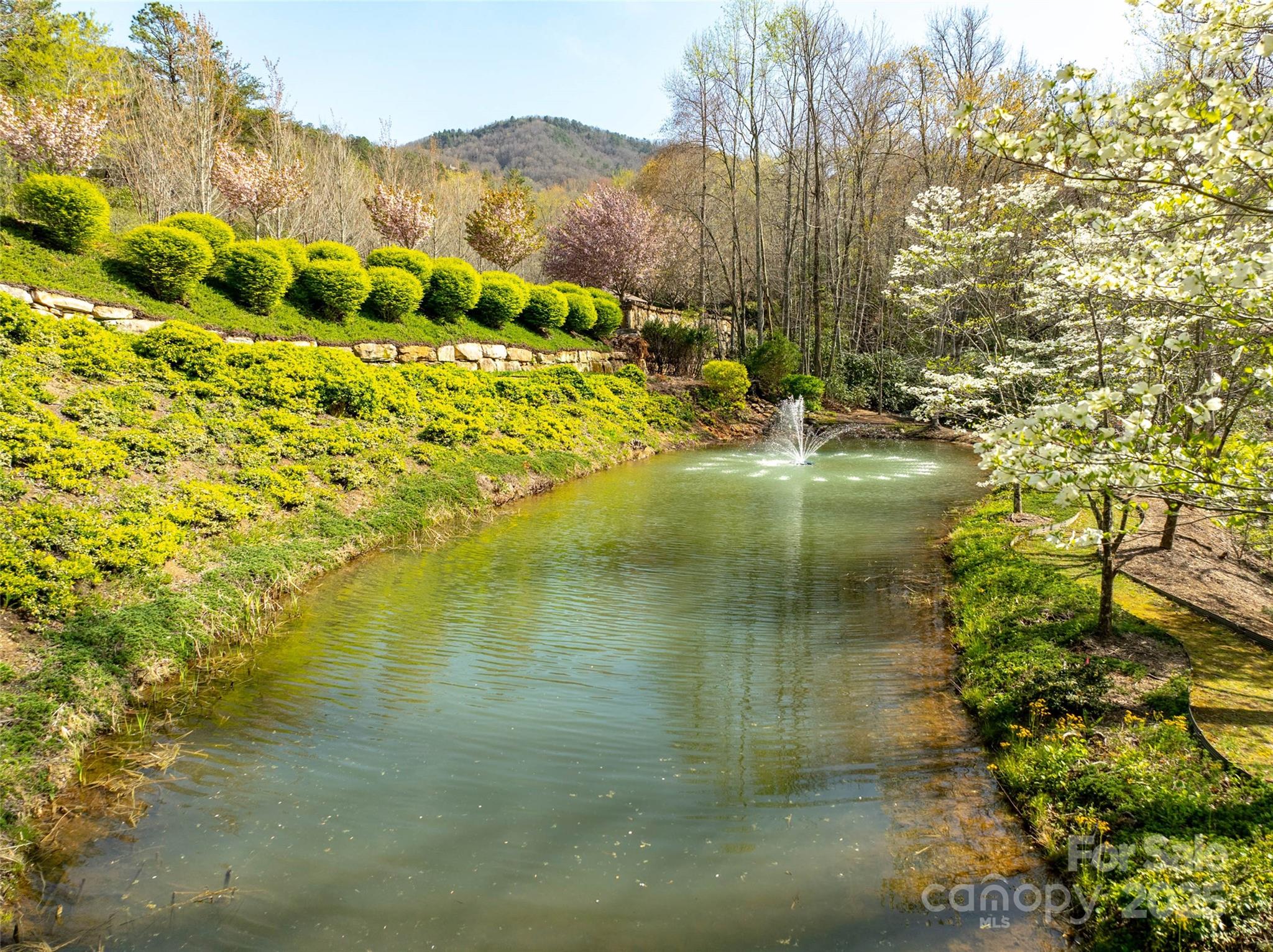 63 Old Lafayette Lane Black Mountain, NC 28711 - Photo 6 of 10 a view of lake