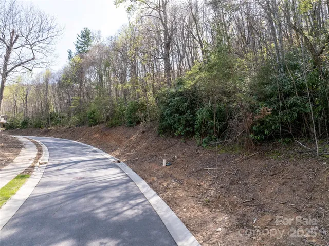 a view of a backyard with trees