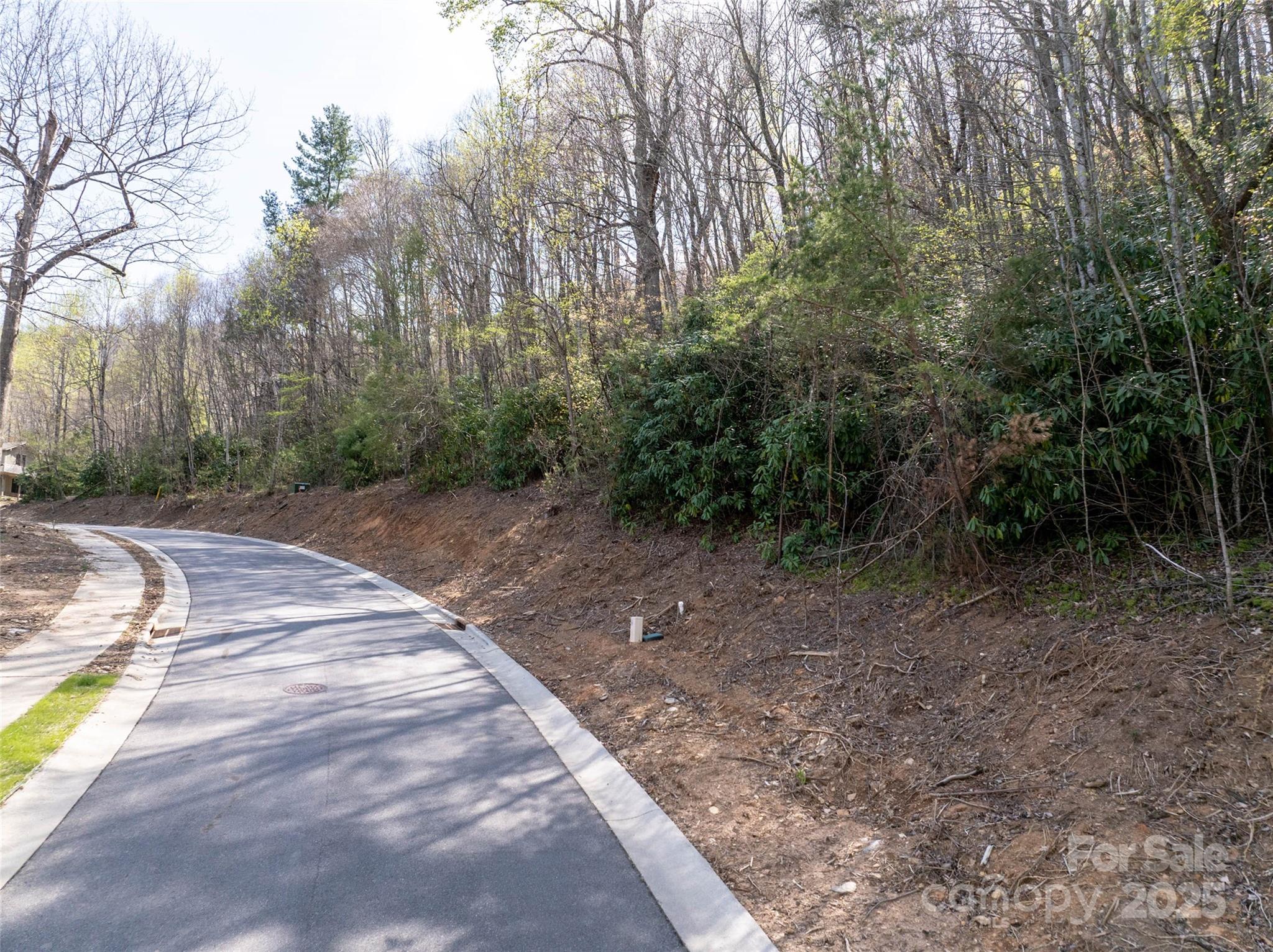 63 Old Lafayette Lane Black Mountain, NC 28711 - Photo 8 of 10 a view of a backyard with trees