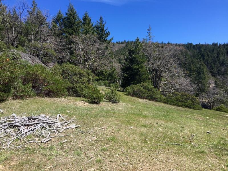 40-acres Buck Mountain Road, Unit NONE Bridgeville, CA 95526 - Photo 2 of 5