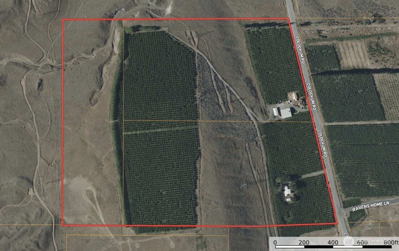 5814 Colockum Road Malaga, WA 98828 - Photo 40 of 40 a close view of shower tap