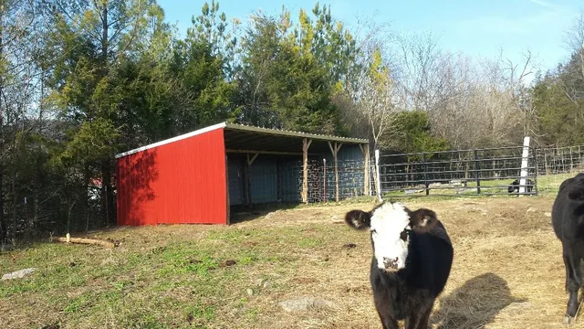 $1,245,000 | 7474 Nashville Highway, Dowelltown, TN 37059