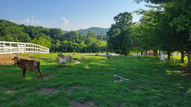 $1,245,000 | 7474 Nashville Highway, Dowelltown, TN 37059