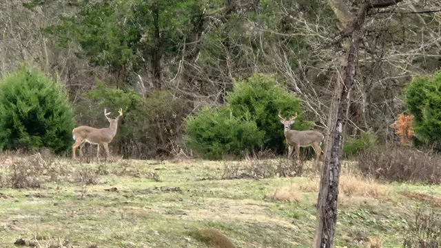 $1,245,000 | 7474 Nashville Highway, Dowelltown, TN 37059