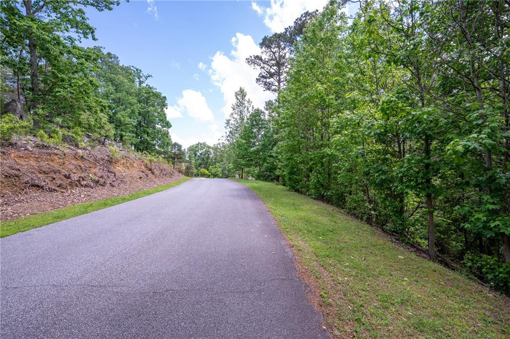 25 Sunset Ridge Cartersville, GA 30121 - Photo 14 of 15 a view of a road with a yard