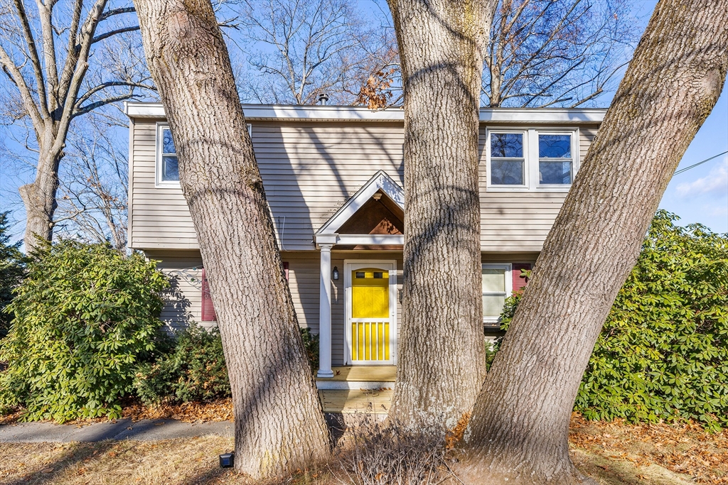 238 River Road Lowell, MA 01852 - Photo 4 of 38